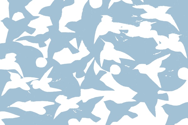 Scandi Blue Birds Wallpaper