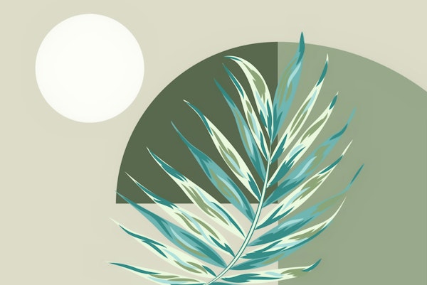 Moon And Palm Wallpaper