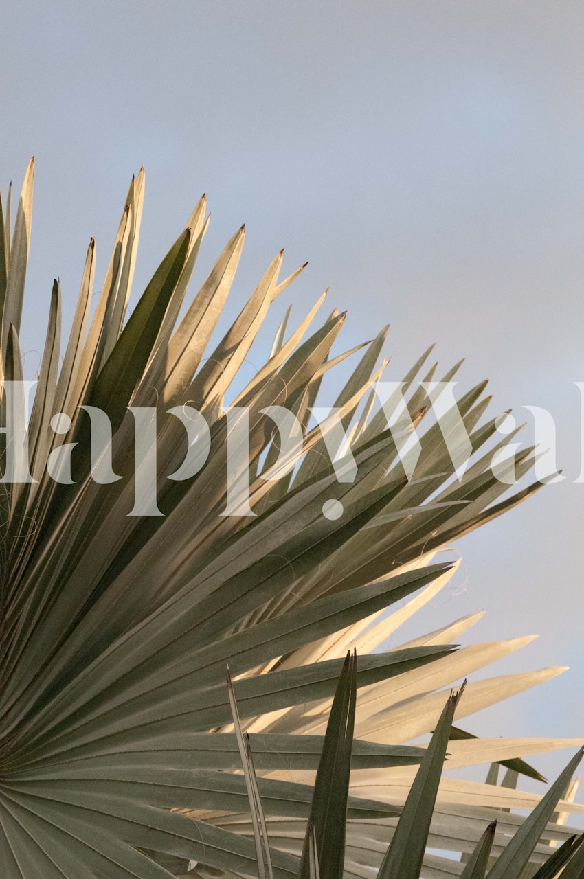 Bismarck Palm Leaf 1 wallpaper in room setting