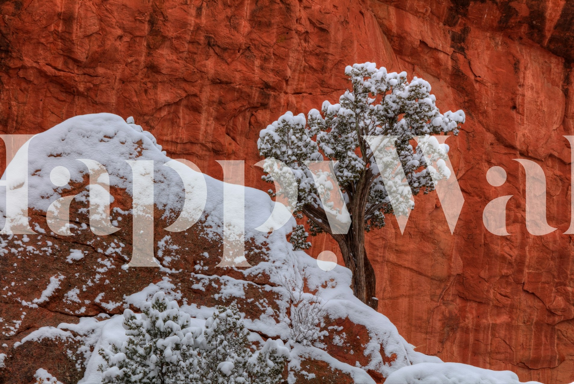 Winter scene wallpaper with a tree and snow