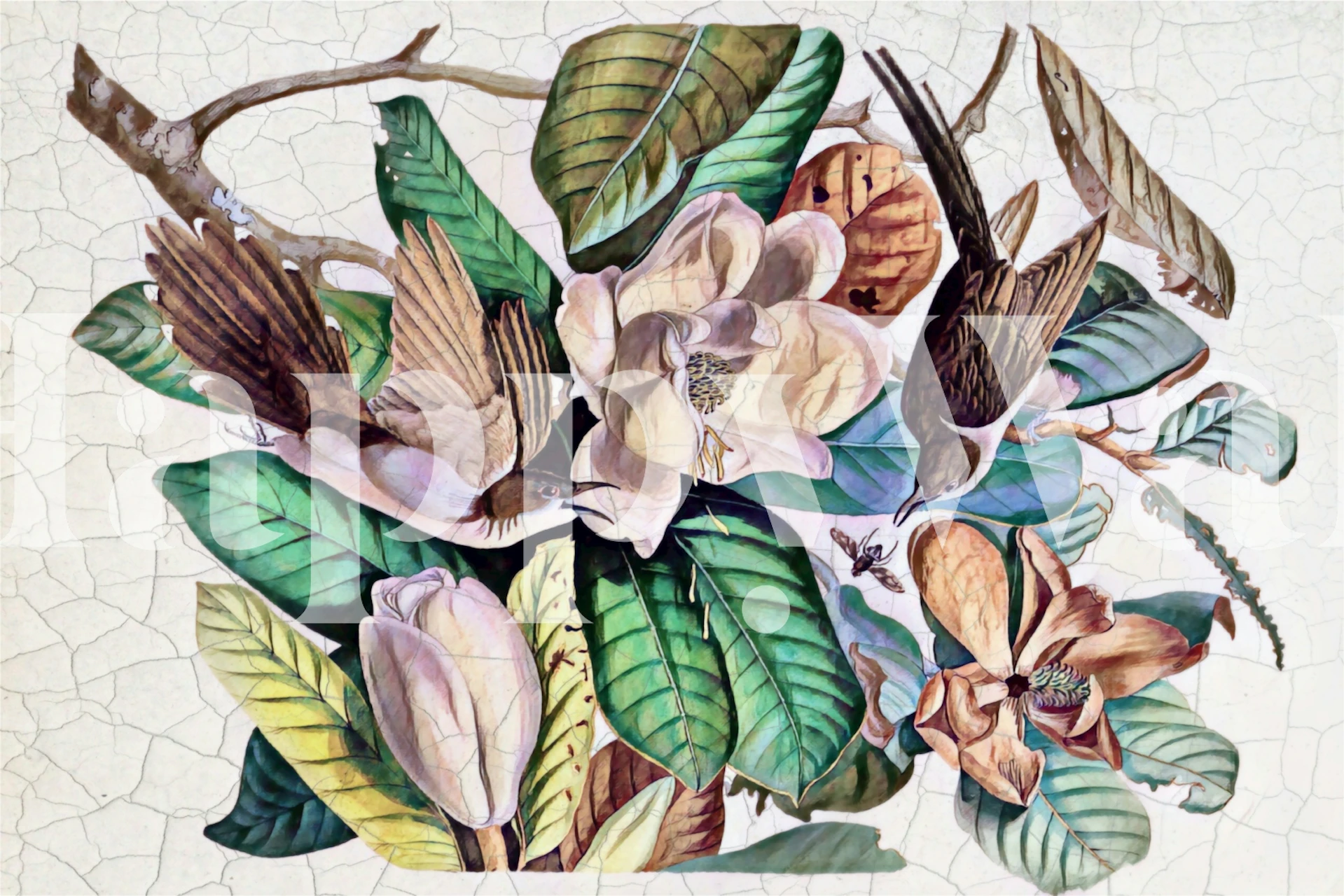 Tropical Vintage Jungle Birds wallpaper in een kamer