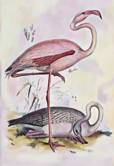 Mural