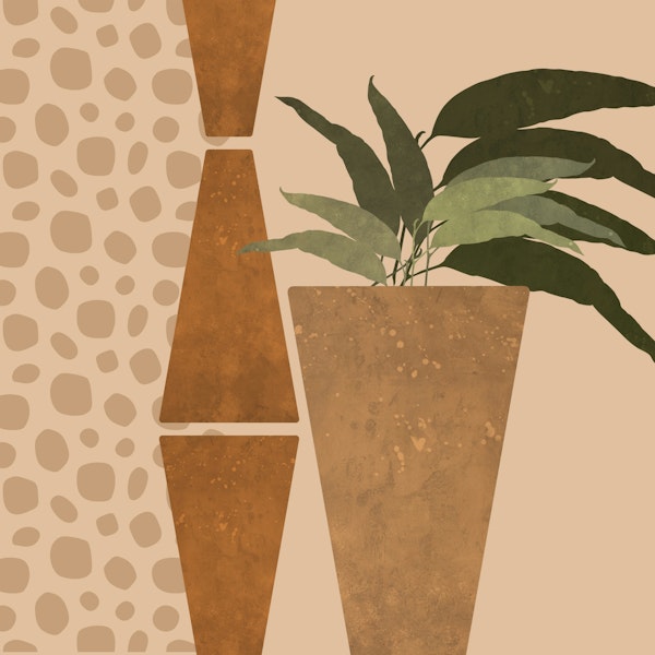 Happy Africa Foliage