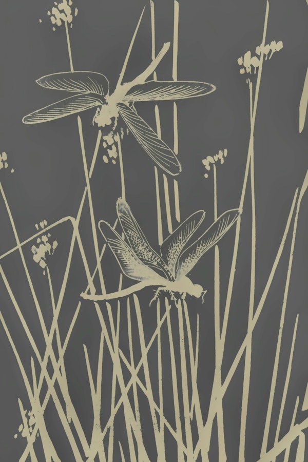 Minimal Dragonfly Nature