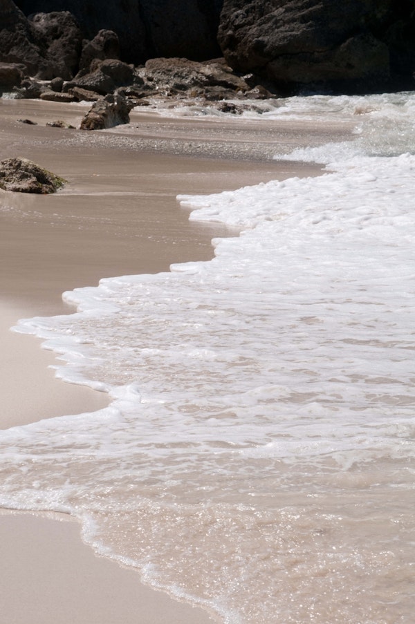 Caribbean Beach Dream 1