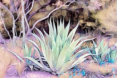 Mural