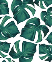 Monstera Leaves Pattern 3 ταπετσαρία