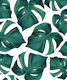 Monstera Leaves Pattern 3