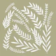 Wheat Class Pale green