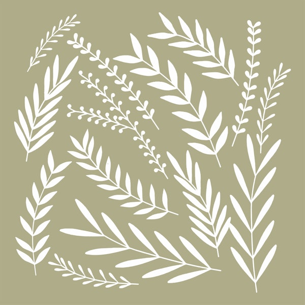 Wheat Class Pale green