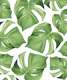 Monstera Leaves Green 1
