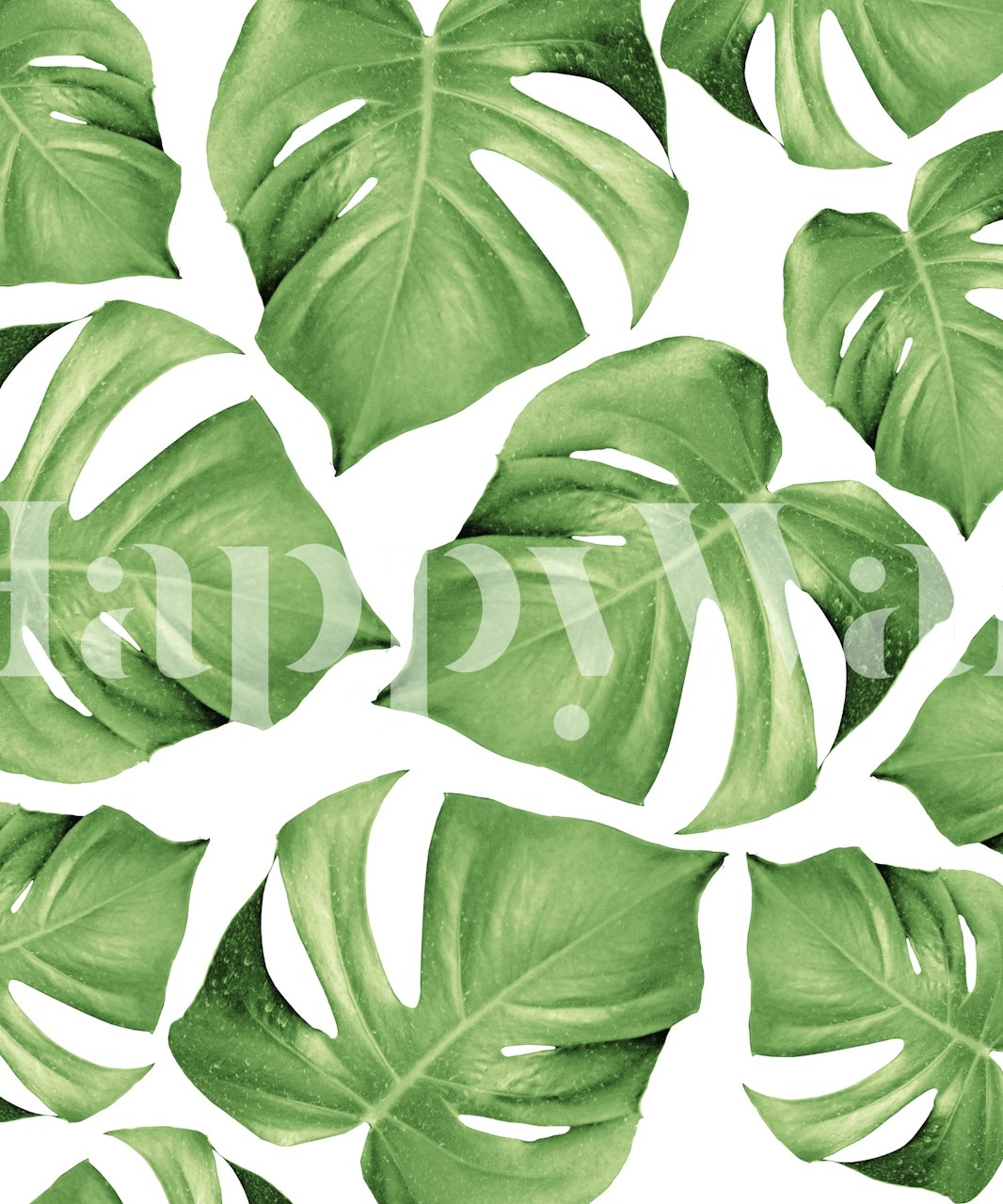Tropical green Monstera leaves pattern wallpaper