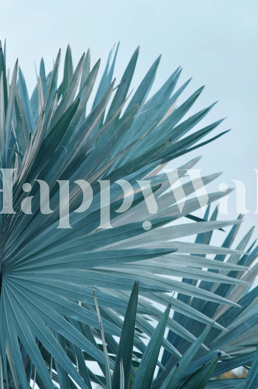 Papel pintado Soft Bismarck Palm Leaf 2 en una habitación