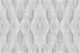 Soft Gray Japan Waves