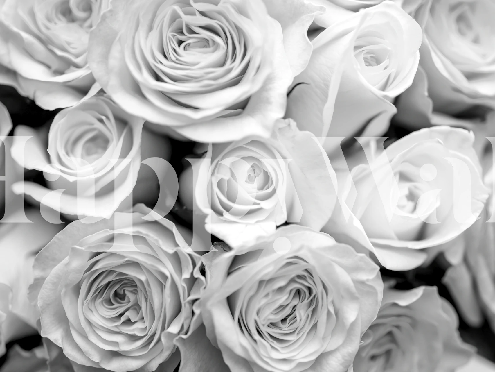 Bunch of roses wallpaper displayed in a room