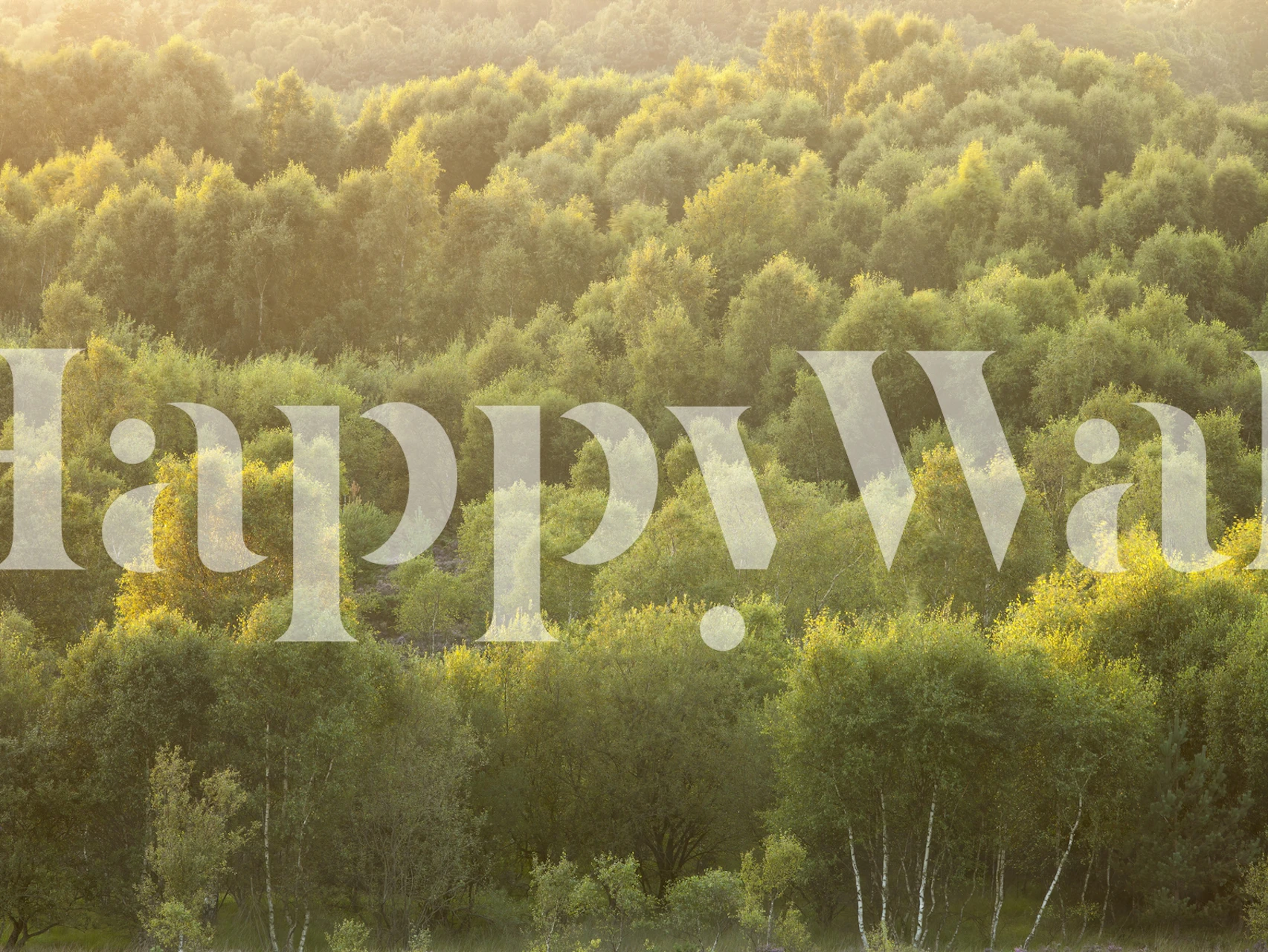 Póster de Tree tops at dusk en una habitación