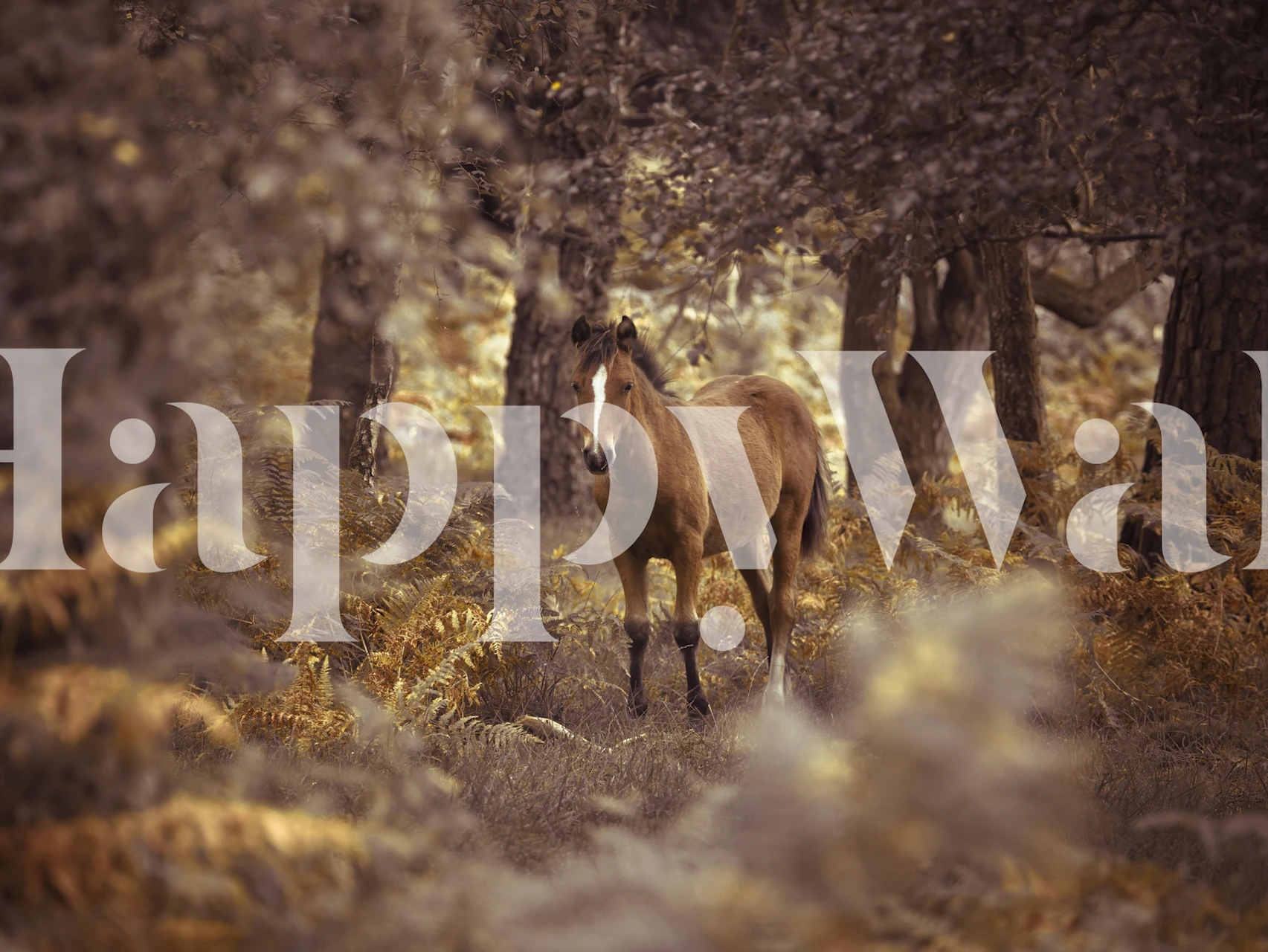 Wild horse in a serene New Forest setting wall mural