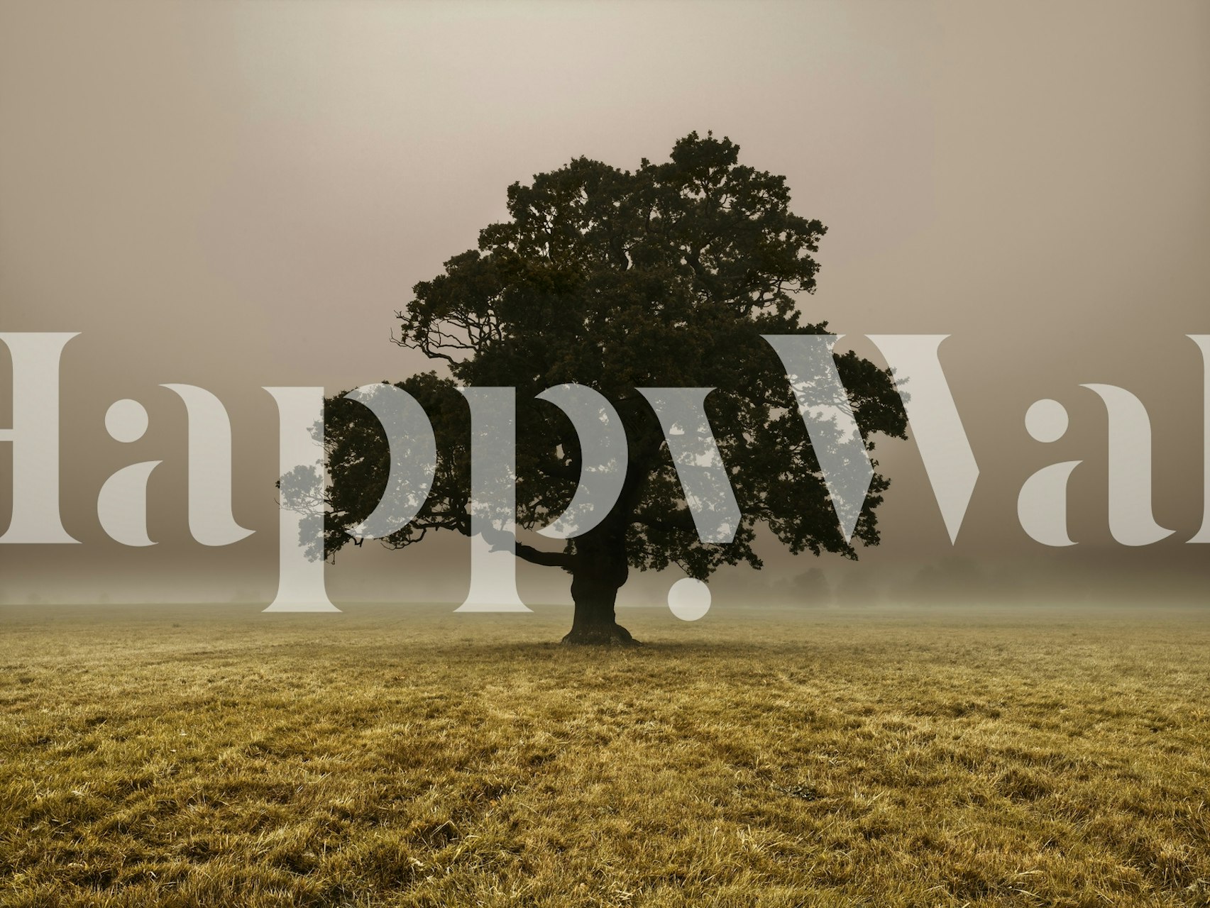 Τοιχογραφία μονόδεντρου σε ένα ομιχλώδες και ομιχλώδες τοπίο