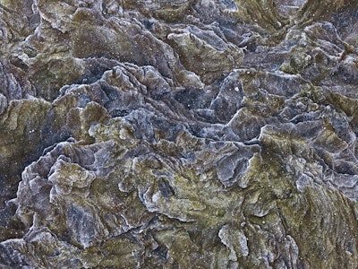 Mural