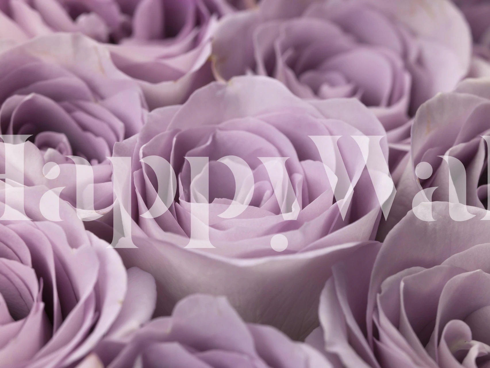 Diseño de papel tapiz Roses en la habitación