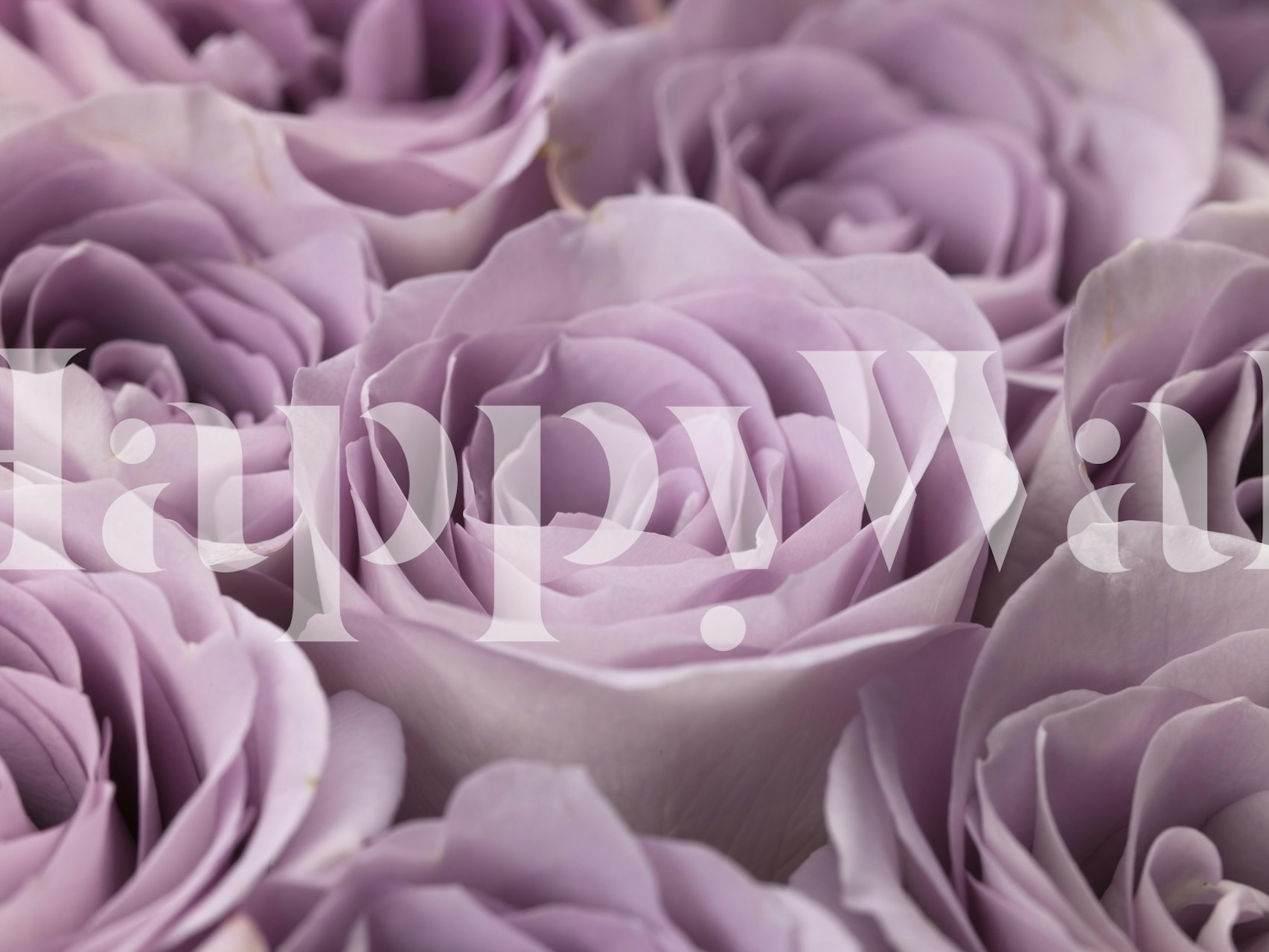 Design de papier peint Roses dans la pièce