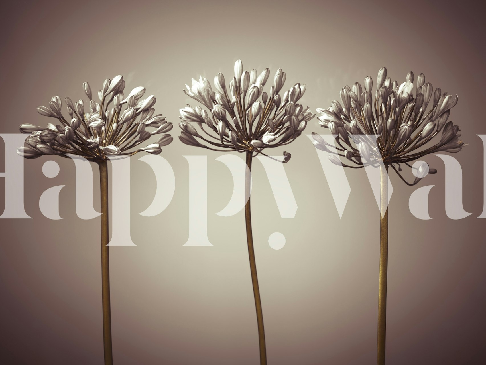Three stylized African Lilies wall mural in a monochrome palette