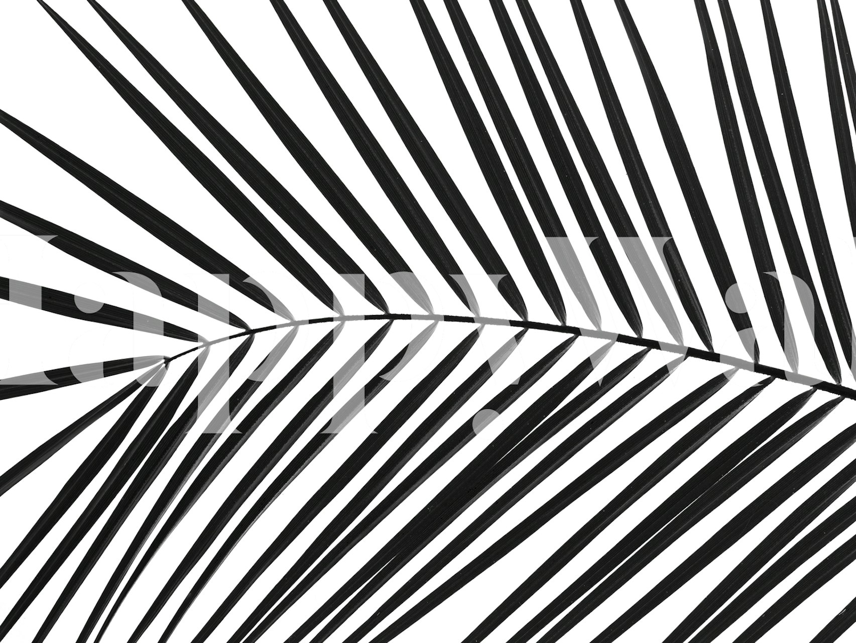 Palm tree leaf wallpaper in a room