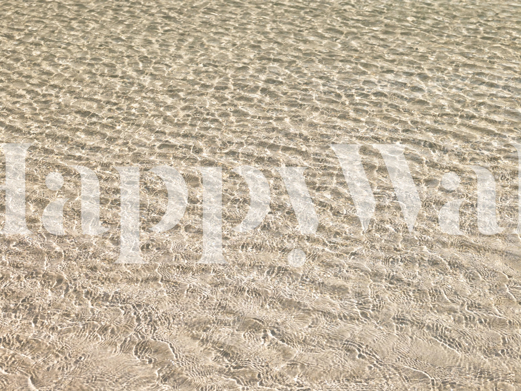 Shallow water on beach wallpaper in a room