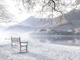 Bench by still lake