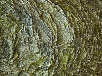 Mural