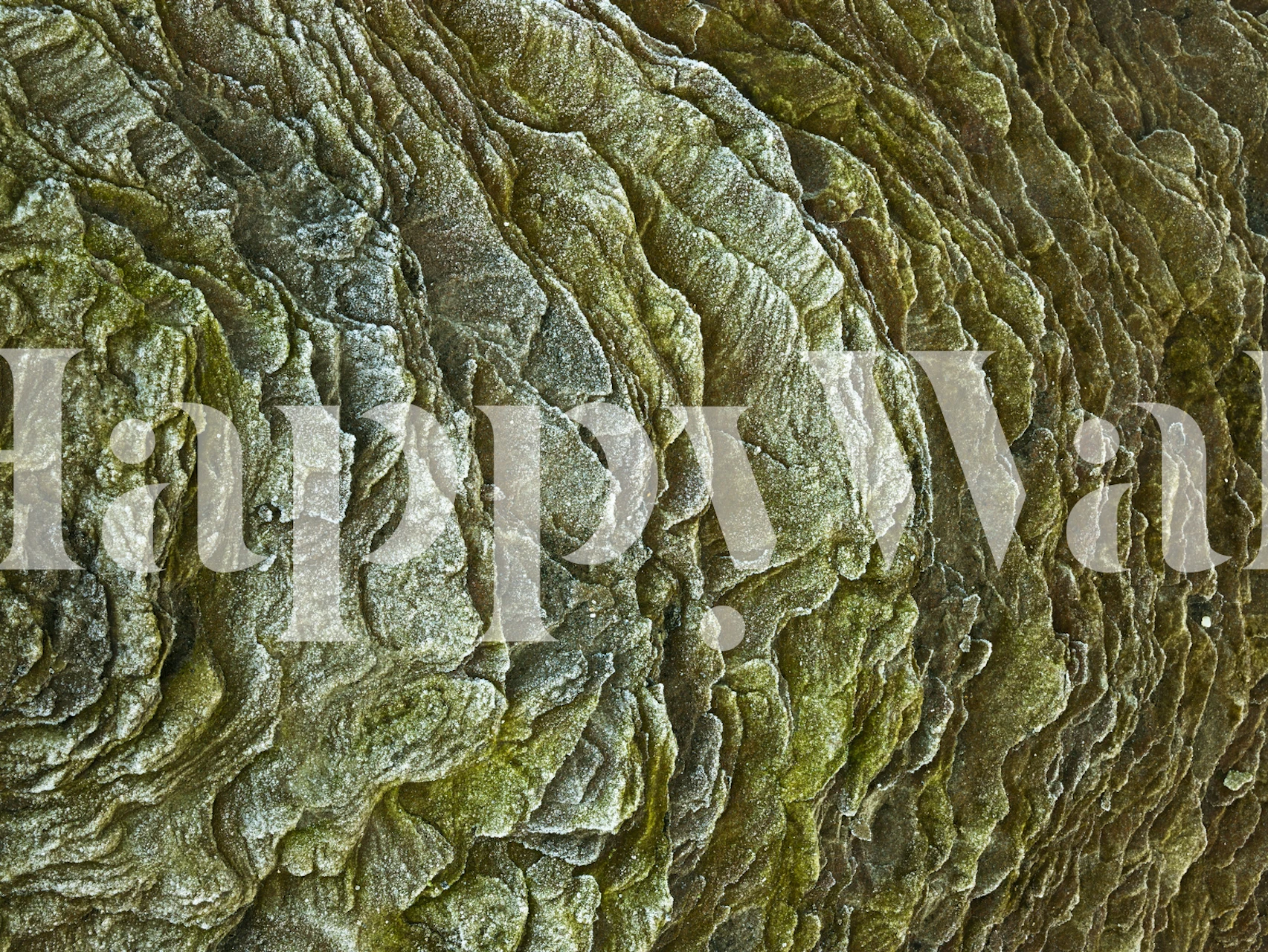 Textured green stone wallpaper design featuring intricate layers and patterns