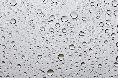 Τοιχογραφία