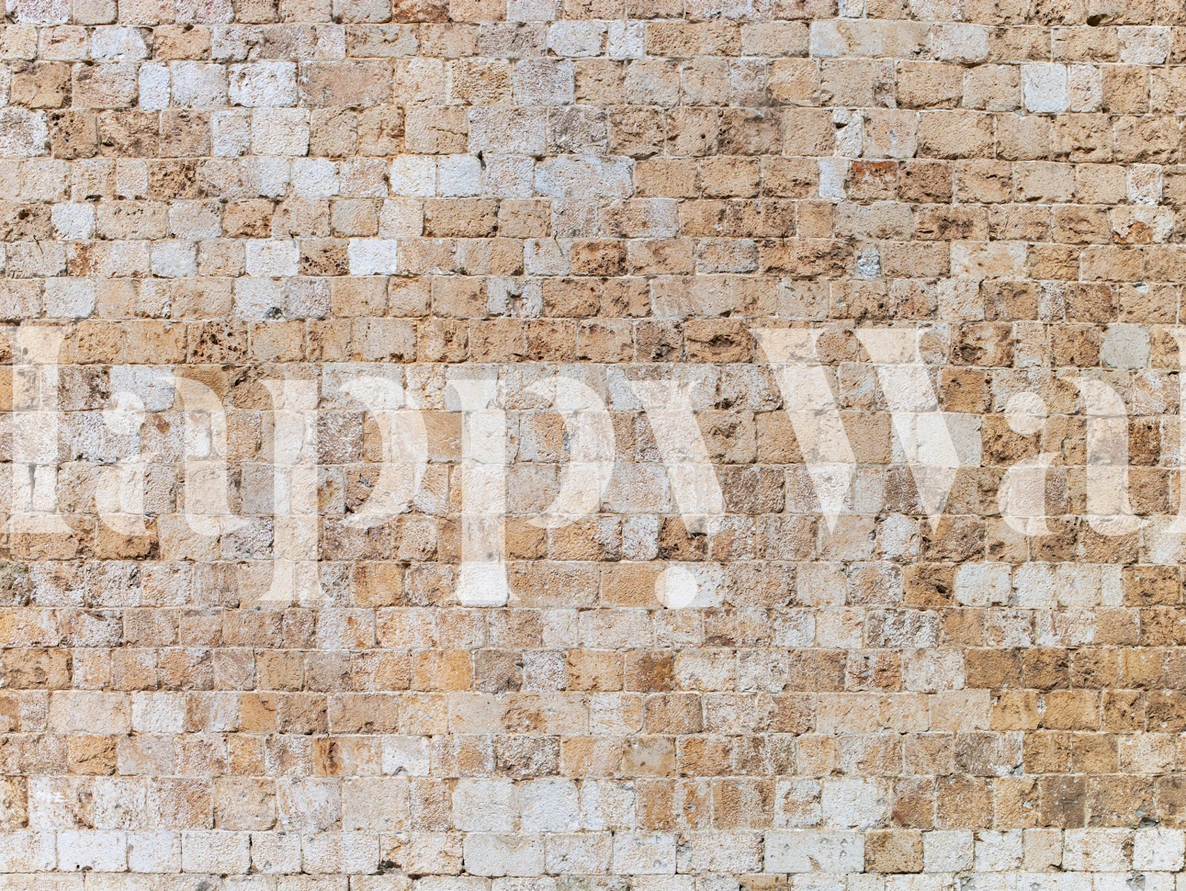 Carta da parati design Stone wall in una stanza