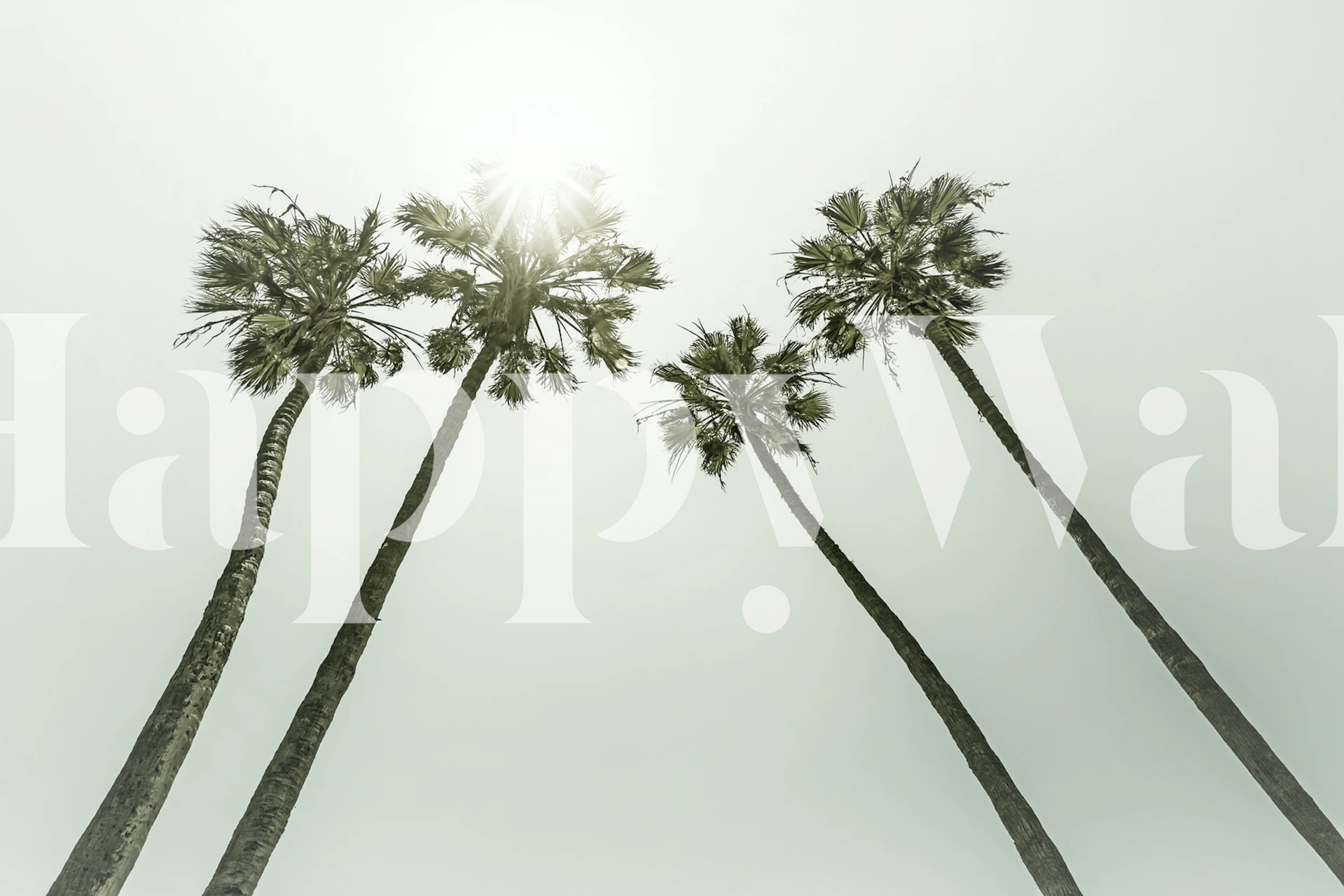 Vintage palms Wallpaper in einem Raum