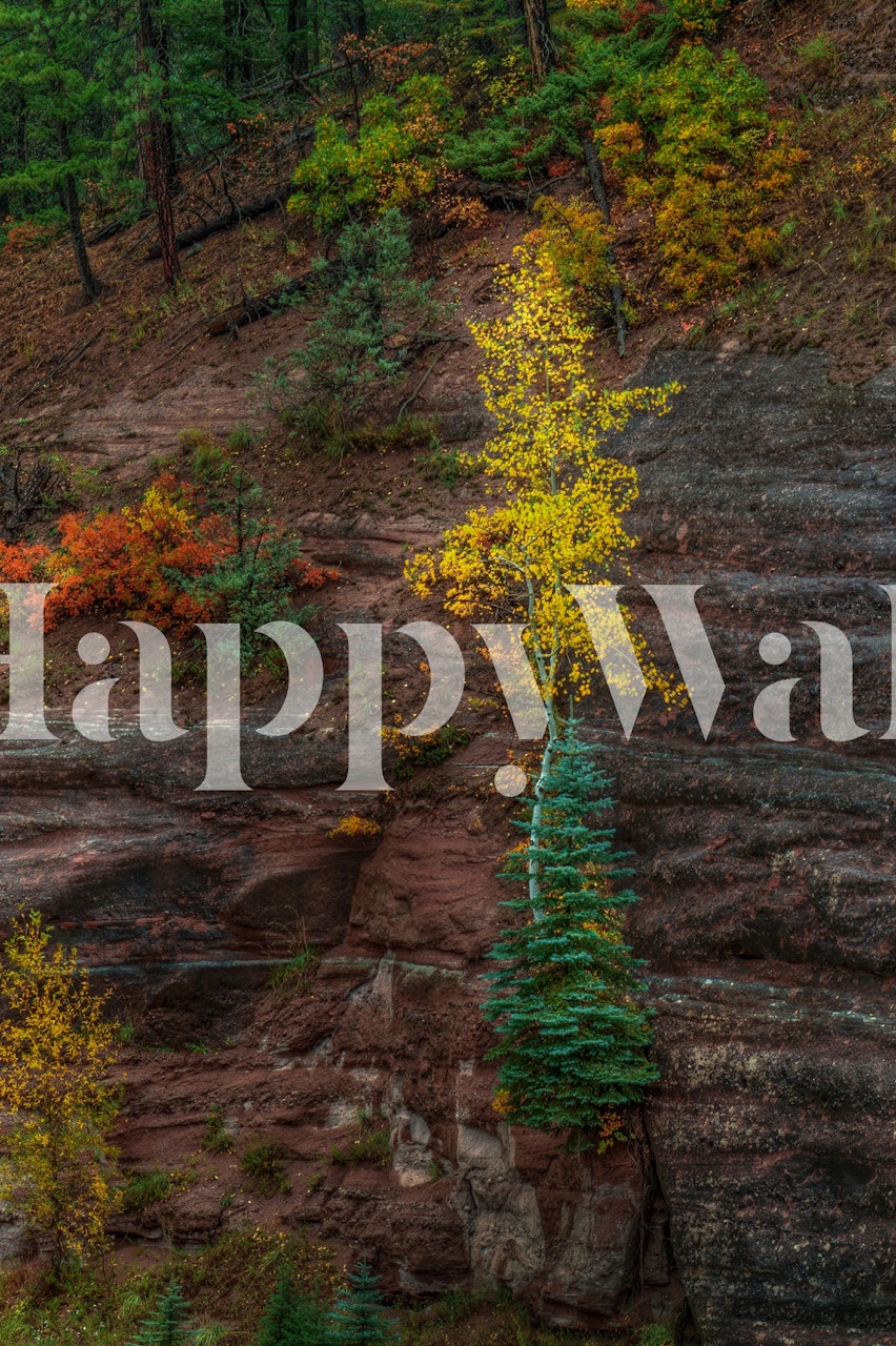 Solitary tree with yellow leaves on cliff wall mural