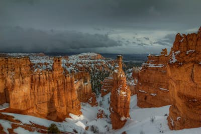 Τοιχογραφία