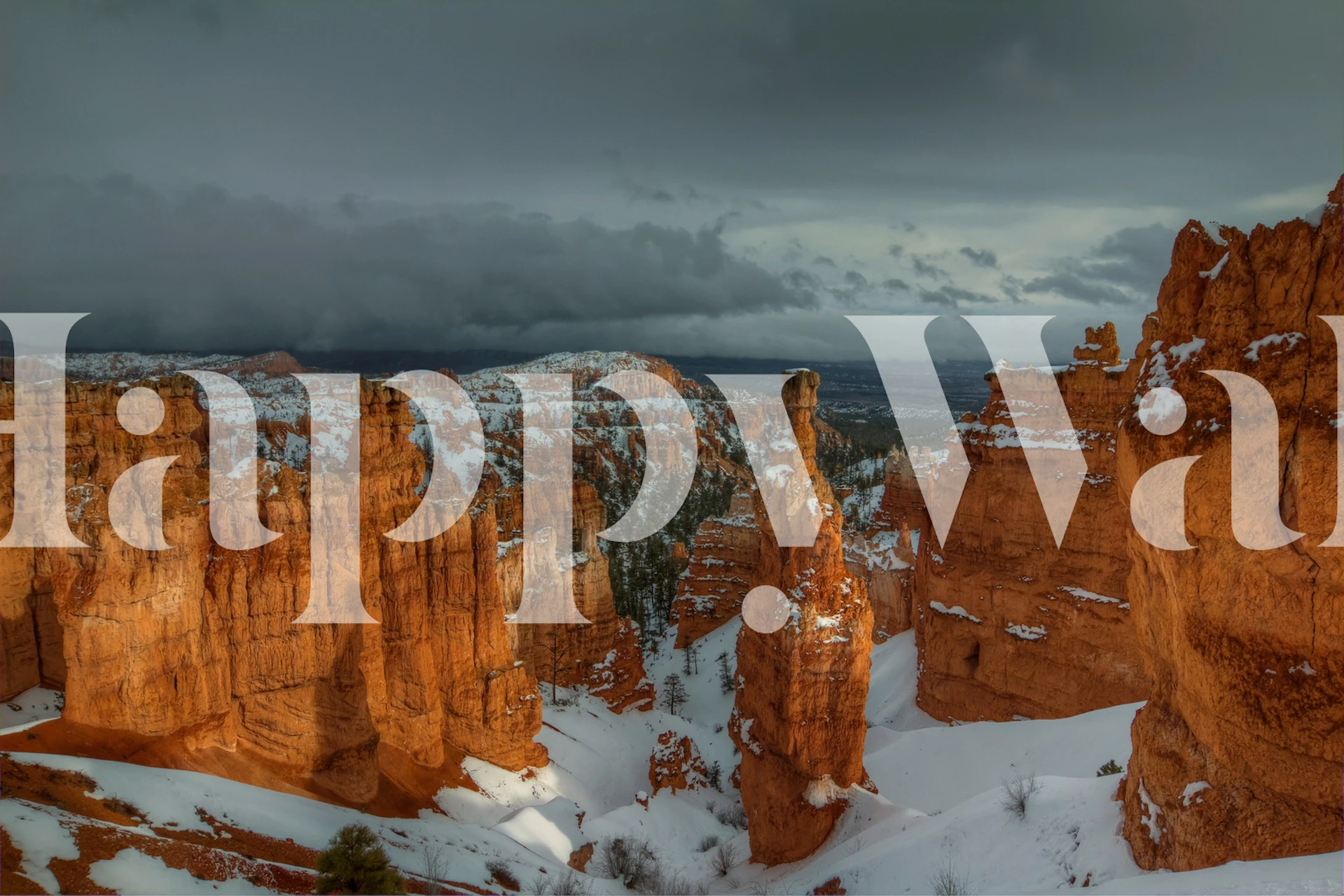 Stormy Sunlight wallpaper displayed in a room