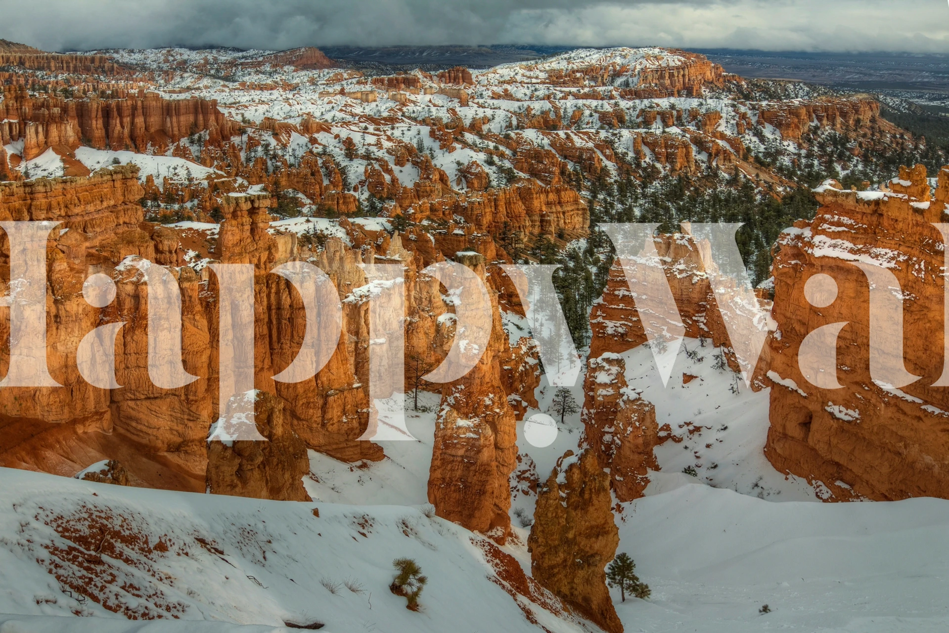 Tapet med Snow Brewing At Bryce Canyon.