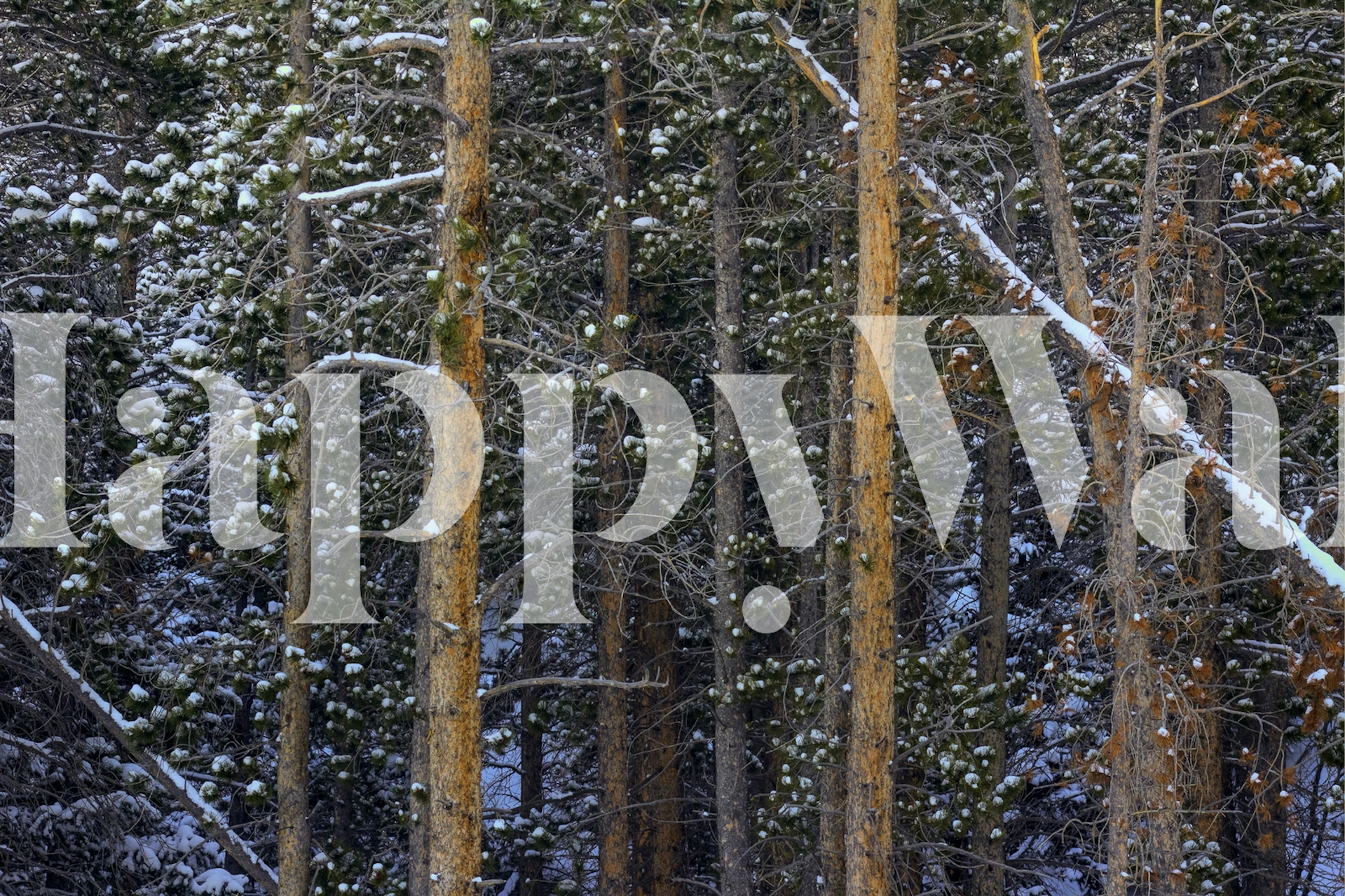 Outlines behang in een kamer setting