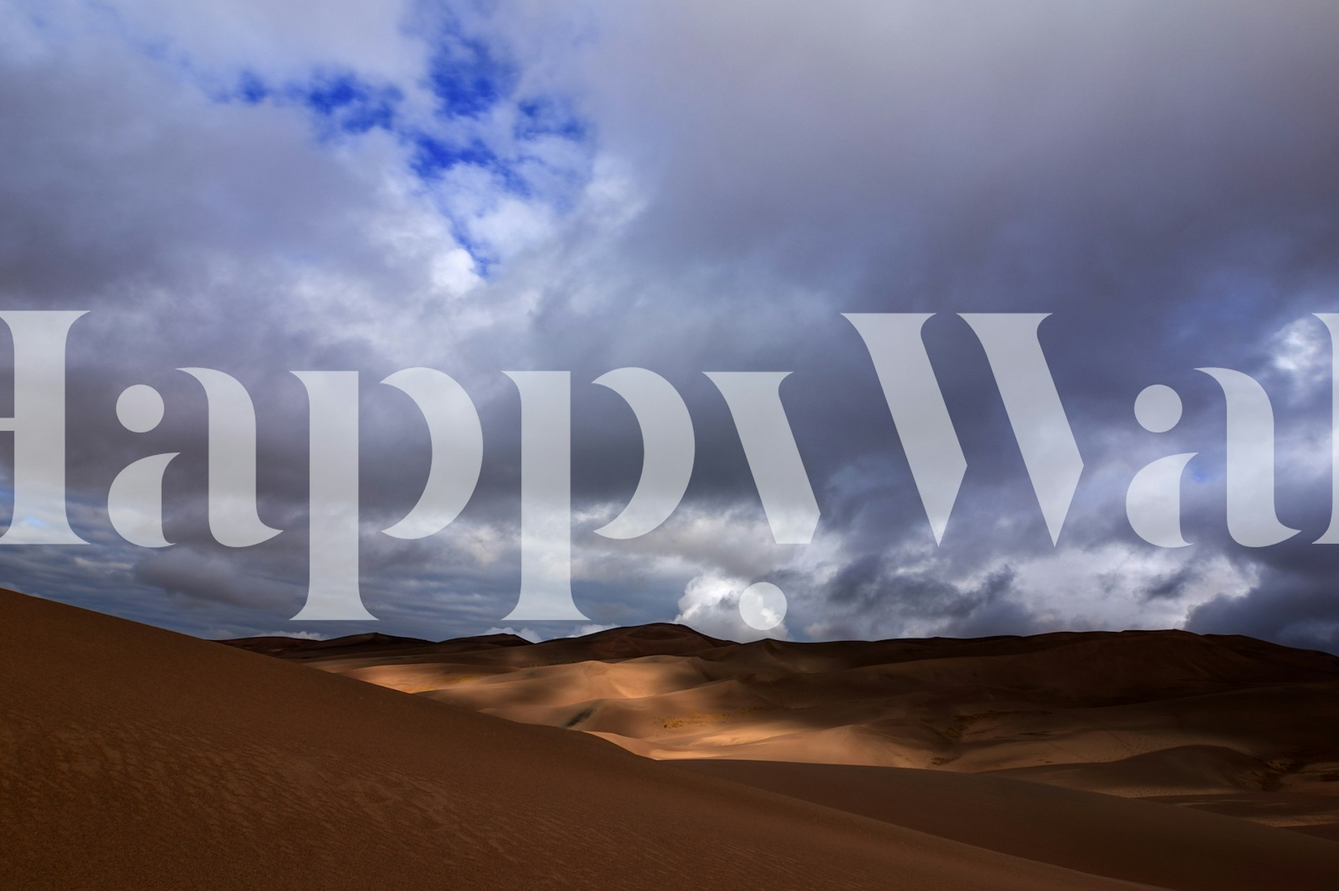 Light Dance wallpaper in a stylish room