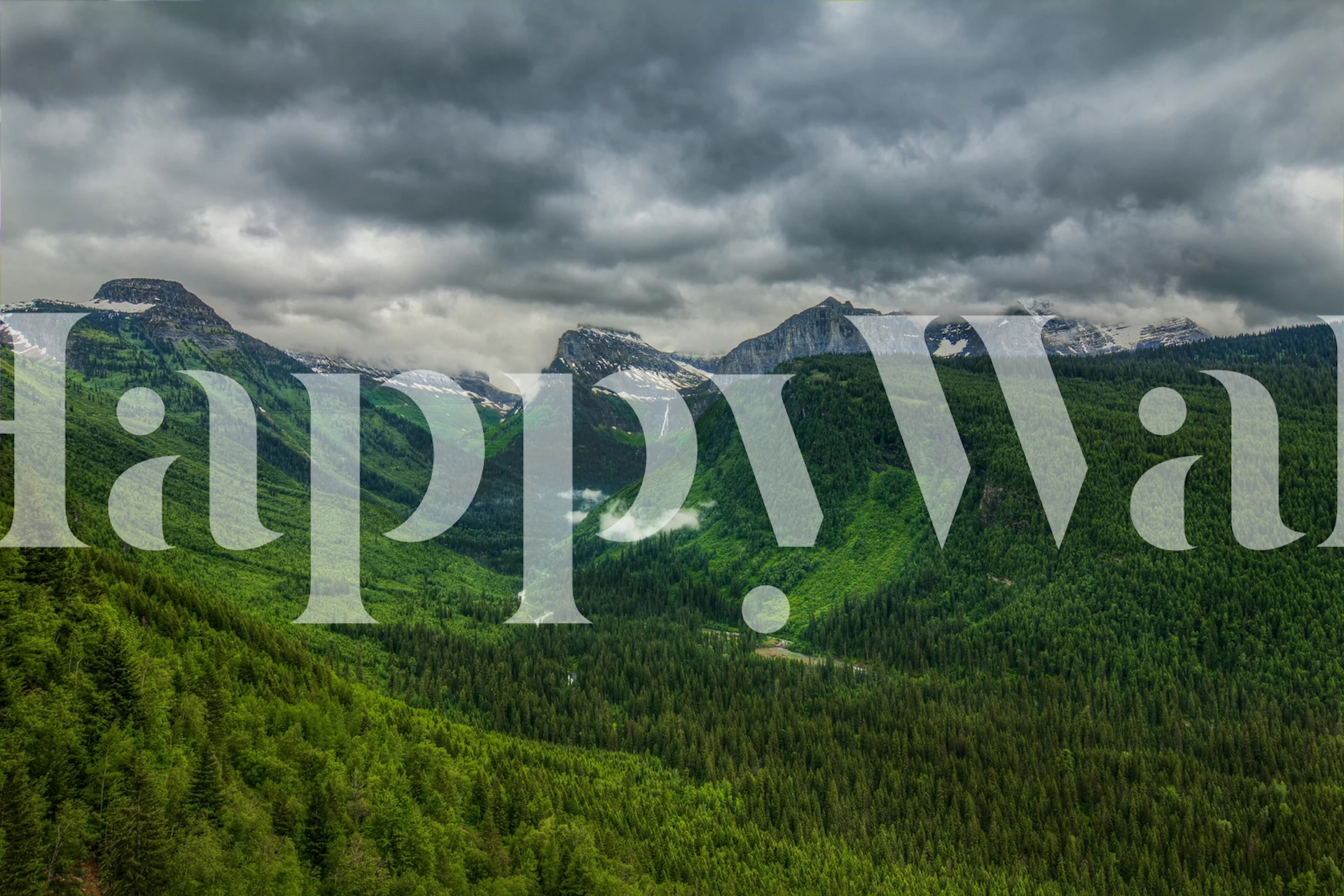 Fototapeta Zelený les a horská krajina