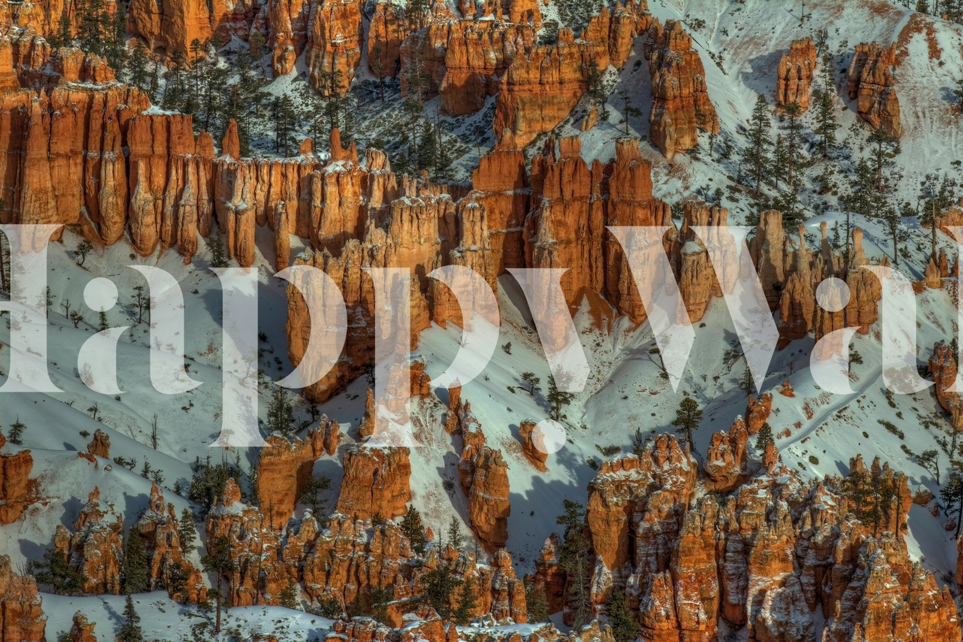 Color In The Snow wallpaper displayed in a room