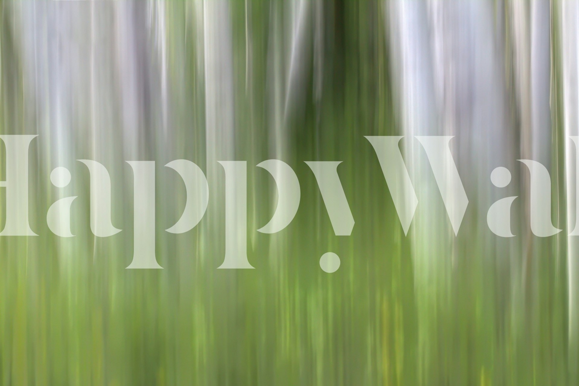 Aspen Forest In The Spring i ett rum