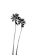 Tranquility Palms 1