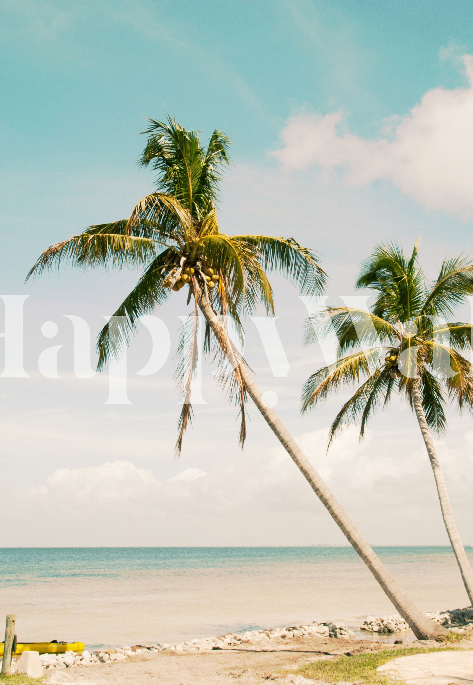 Palm Tree Beach Oasis 1 Papel Pintado - Oasis De Playa De Palmeras 1 Papel  Pintado, image size:1600x2315