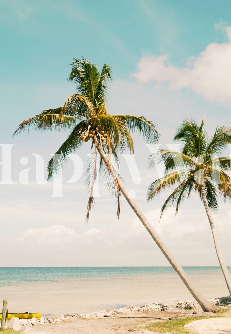 Tropical beach wall mural with palm trees and clear skies