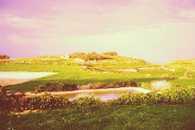 Τοιχογραφία