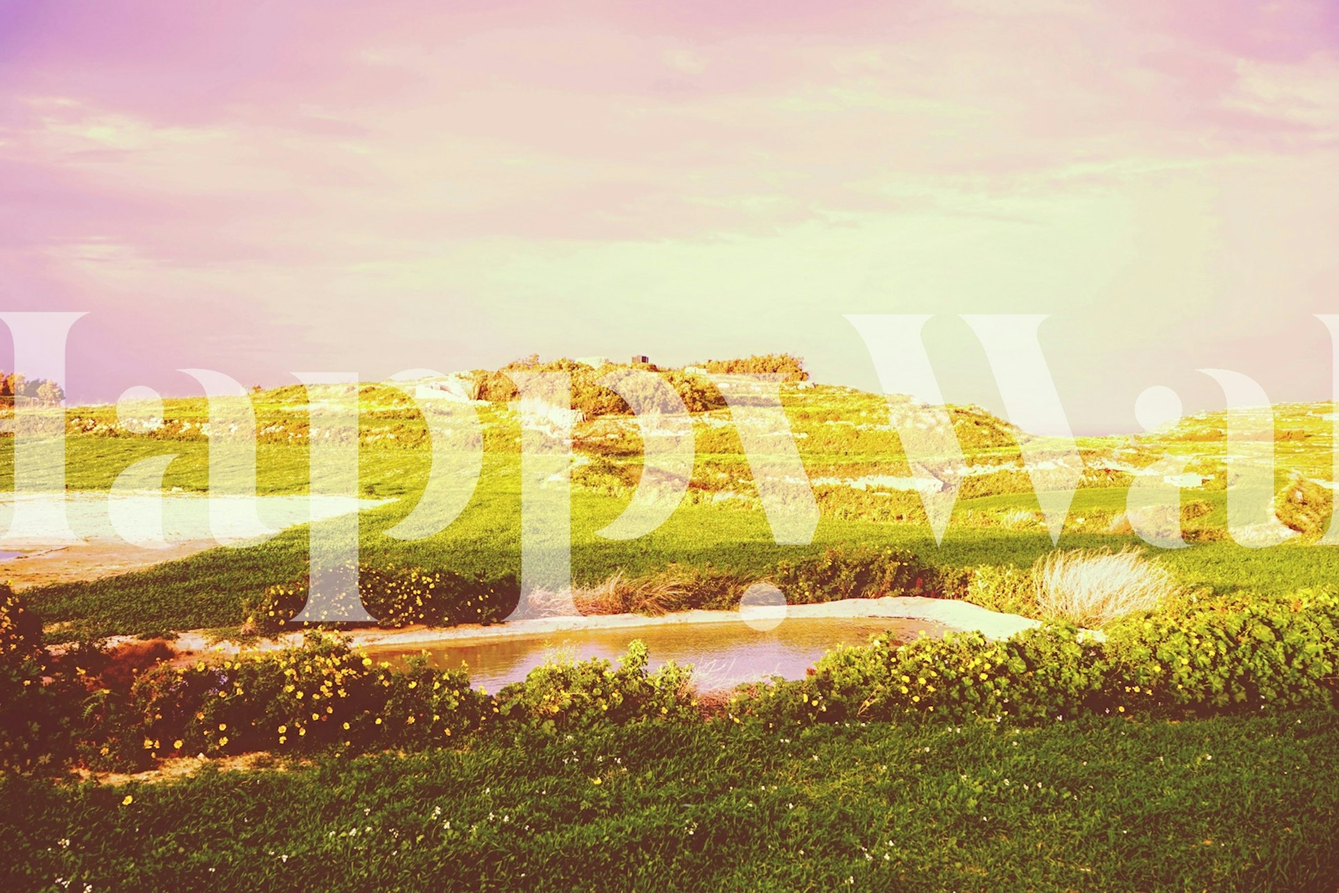 Wild Eden wallpaper design in a room