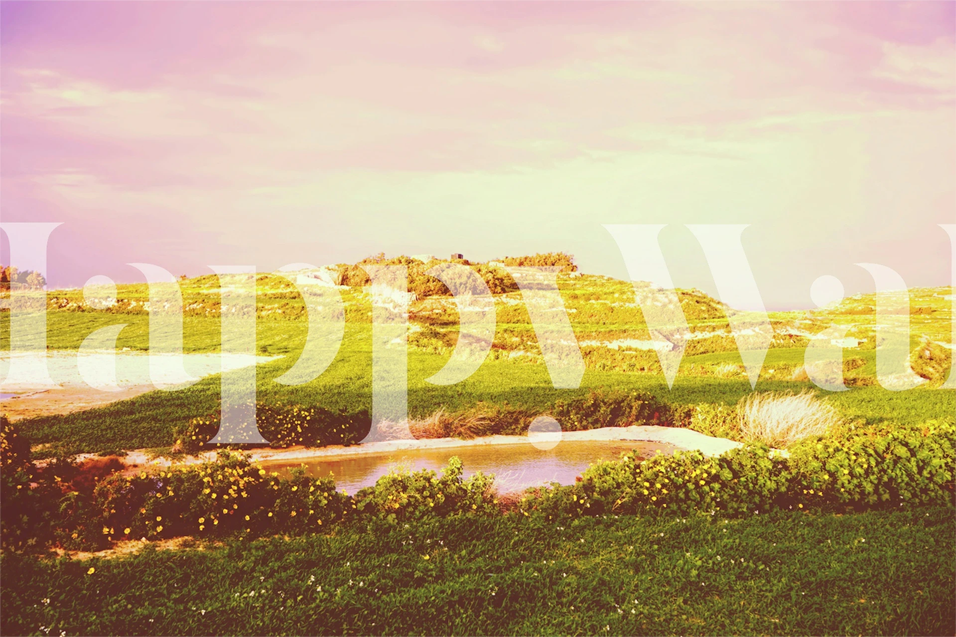 Wild Eden wallpaper design in a room