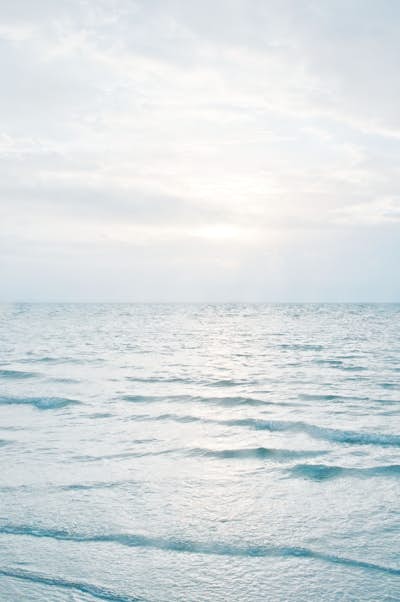 Τοιχογραφία